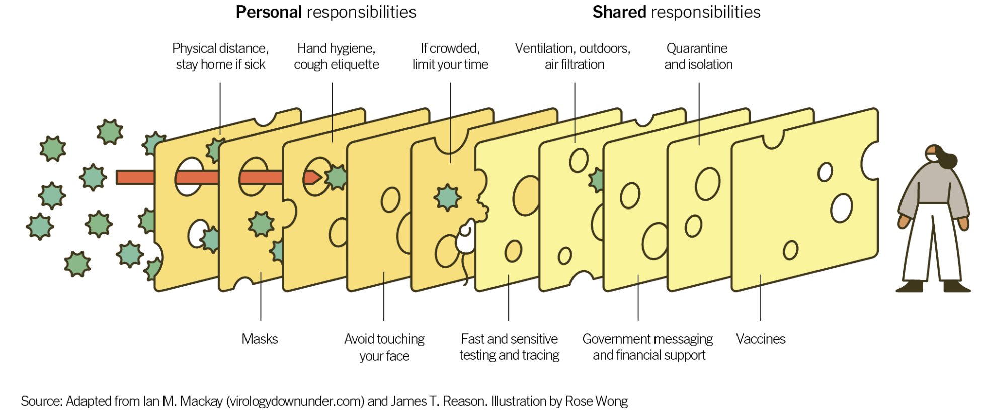 The Swiss Cheese Model